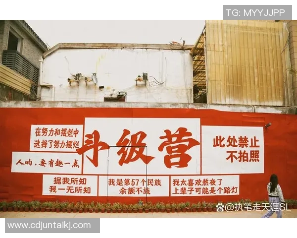 武汉排球队逆袭之路：挑战赛中的拼搏与荣耀全景报道